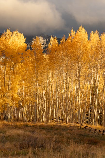 Aspen Mountain Retreats mountain landscape nature outdoor